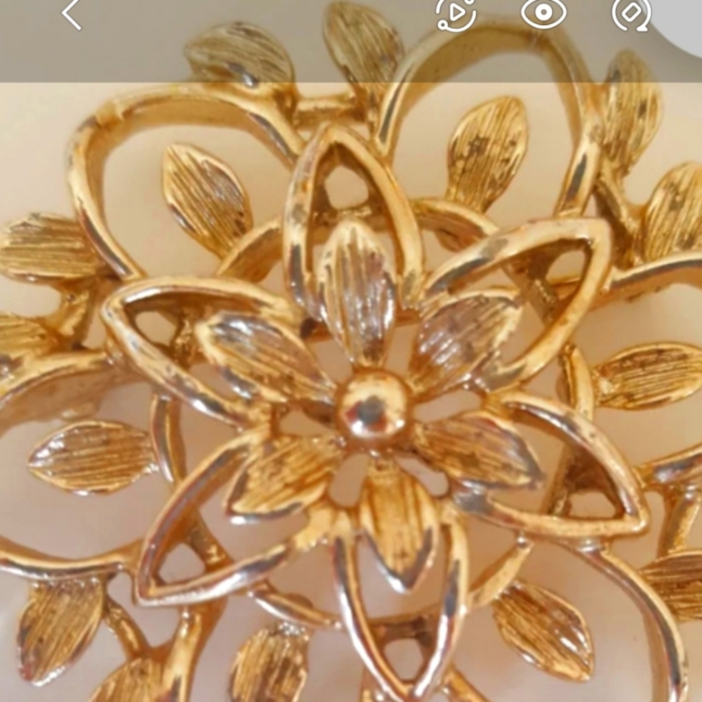 Beatiful brooch